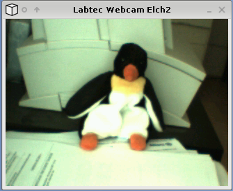 Erster Screenshot von der Labtec Cam