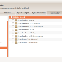 Alte Kernel unter Ubuntu löschen